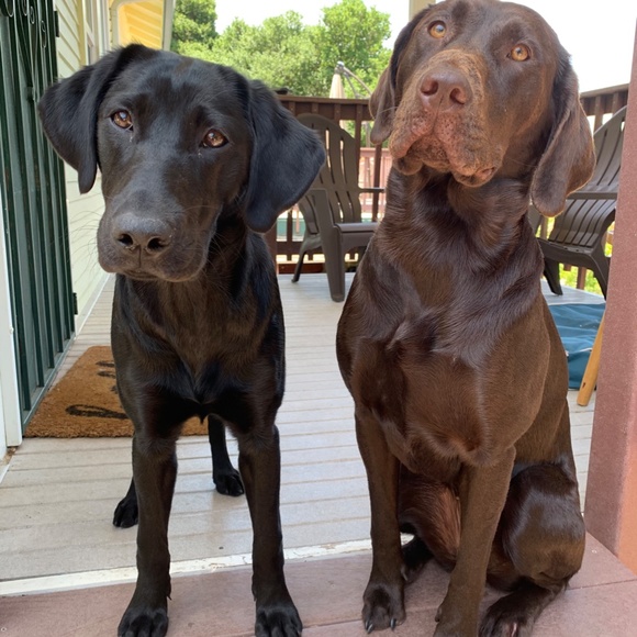 Meet your Posher, Jessica - Picture 2 of 2